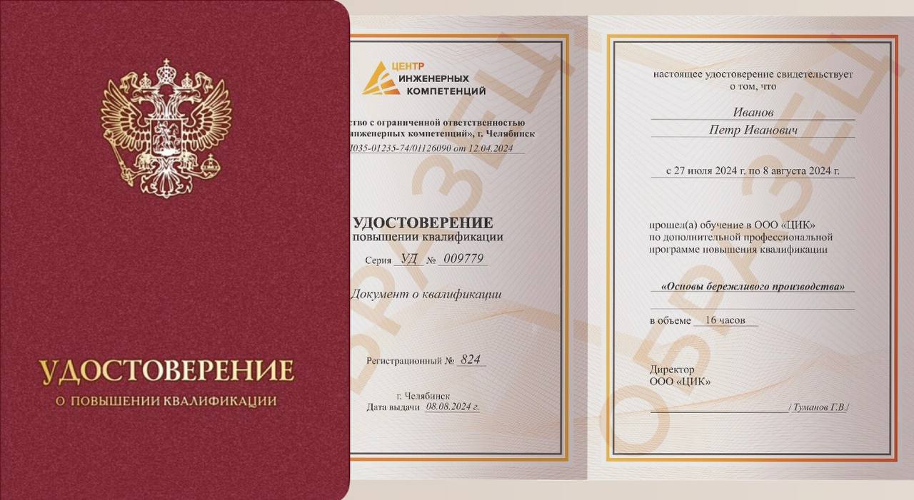 Образец выдаваемого документа